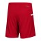 adidas Team 19 Knitted Short Rot Weiss - rot