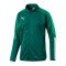 PUMA CUP Sideline Jacket ALPINE GREEN-PEPPER G F05 - gruen