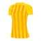 Nike Striped Division III Trikot KA Damen F719 - gelb