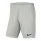Nike Park III Short | Grau F017 - grau