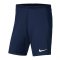 Nike Park III Short | Blau F410 - blau