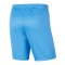 Nike Park III Short | Blau F412 - blau