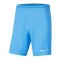 Nike Park III Short | Blau F412 - blau