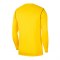Nike Park 20 Training Sweatshirt | Gelb F719 - gelb