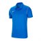 Nike Park 20 Poloshirt | Blau F463 - blau