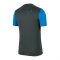 Nike Academy 20 T-Shirt | Grau Blau F075 - grau