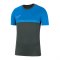 Nike Academy 20 T-Shirt | Grau Blau F075 - grau