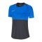 Nike Dri-FIT Academy Pro Shirt kurzarm Damen F068 - grau