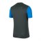 Nike Academy 20 Shirt kurzarm | Grau F062 - grau