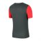 Nike Academy 20 Shirt kurzarm | Grau F064 - grau
