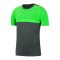 Nike Academy 20 Shirt kurzarm | Grau F068 - grau