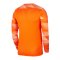Nike Park IV TW-Trikot langarm | Orange F819 - orange