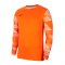 Nike Park IV TW-Trikot langarm | Orange F819 - orange