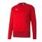 PUMA teamGOAL 23 Training Sweatshirt | Rot F01 - rot