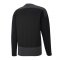 PUMA teamGOAL 23 Training Sweatshirt | Schwarz F03 - schwarz