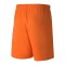 PUMA teamGOAL 23 Knit Short | Orange F08 - orange