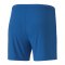 PUMA teamGOAL 23 Knit Shorts Damen Blau F02 - blau