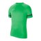 Nike Academy 21 T-Shirt | Grün Weiss F362 - gruen