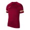 Nike Academy 21 T-Shirt | Rot Weiss F677 - rot