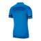 Nike Academy 21 Poloshirt | Blau Weiss F463 - blau