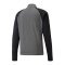 PUMA teamLIGA HalfZip Sweatshirt | Grau F13 - grau