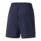 PUMA teamLIGA Sideline Shorts | Blau F06 - blau