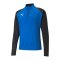 PUMA teamLIGA HalfZip Sweatshirt | Blau F02 - blau