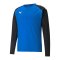 PUMA teamLIGA Training Sweatshirt | Blau F02 - blau