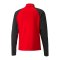 PUMA teamLIGA HalfZip Sweatshirt | Rot Schwarz F01 - rot