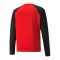 PUMA teamLIGA Training Sweatshirt | Rot Schwarz F01 - rot