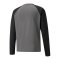 PUMA teamLIGA Training Sweatshirt | Grau Schwarz F13 - grau