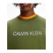 Calvin Klein Performance Pullover Grün F340 - gruen