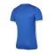 Nike Challenge IV Trikot | Blau Weiss F463 - blau
