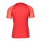 Nike Strike 22 T-Shirt | Rot Weiss F657 - rot