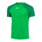 Nike Academy Pro T-Shirt | Grün Weiss F329 - gruen