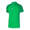 Nike Academy Pro Poloshirt | Grün Weiss F329 - gruen