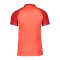 Nike Academy Pro Poloshirt | Rot Weiss F635 - rot