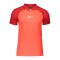 Nike Academy Pro Poloshirt | Rot Weiss F635 - rot