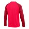 Nike Academy Pro Drill Top | Rot Weiss F635 - rot