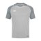 JAKO Performance T-Shirt | Grau Grau F845 - grau