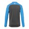 Kempa Prime Shirt langarm | Grau Blau F02 - grau