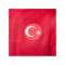 Nike Türkei Trikot Away WM 2022 Rot F657 - rot