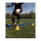 Cawila Mini-Pylone | Trainingskegel | Minihürden | | 10er Set | Grün - gruen