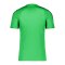 Nike Academy T-Shirt | Grün F329 - gruen