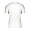Nike Academy T-Shirt | Weiss F100 - weiss