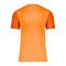 Nike Dri-FIT Trophy 5 Trikot Orange F819 - orange