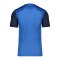 Nike Dri-FIT Trophy 5 Trikot Blau F463 - dunkelblau