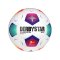 Derbystar Bundesliga Brillant APS v23 Spielball - weiss
