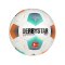 Derbystar Bundesliga Magic APS v23 Spielball - weiss