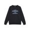Umbro Core Sweatshirt Schwarz FLNE - schwarz
